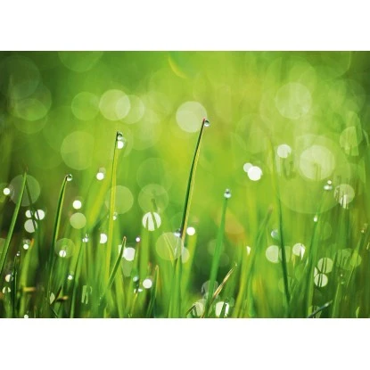 Eurographics Kitchen Glas SpritzschutzGreen Morning II 65cm X 90 Cm – Bild 3